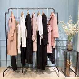 CCDD女裝加盟店 韓版羊毛大衣品牌與服裝服飾批發(fā)指南