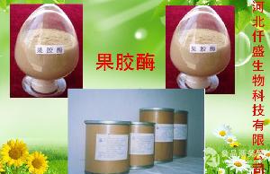 食品行業(yè)用纖維素酶供應(yīng)——高效、安全的全方位解決方案